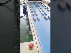 পাপা হাই স্পিড মাল্টি লাইন প্রোটিন ডেট বার এক্সট্রুডার মেশিন