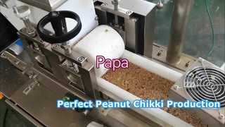 Papa Small P320 পিনাট চিক্কি প্রোডাক্ট লাইন টেস্টিং ভিডিও